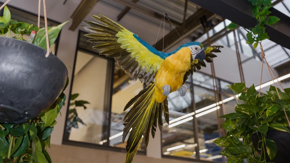 Dekorativer Papagei im Indoor-Dschungelambiente des smartvillage Köln